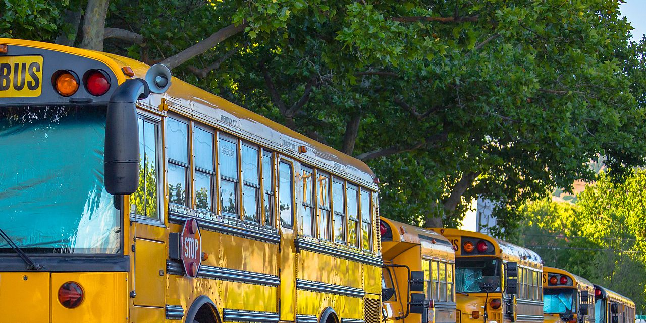 Conclusion #5: Higher Transportation Costs